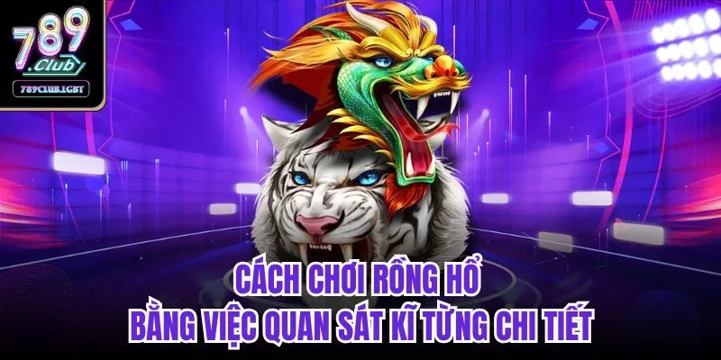 Cách chơi rồng hổ bằng việc quan sát kĩ từng chi tiết